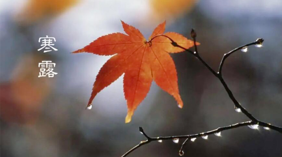 寒露時節(jié)！金環(huán)電器提醒大家要注意的事項