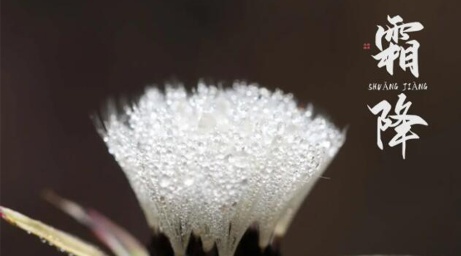 霜降時節(jié)！金環(huán)電器提醒大家要注意的事項