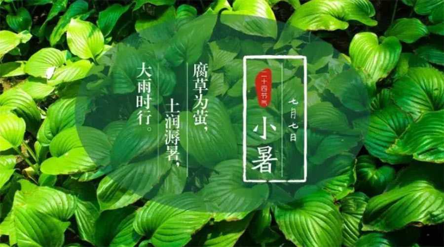 小暑時(shí)節(jié)來到！金環(huán)電器提醒大家要注意的事項(xiàng)
